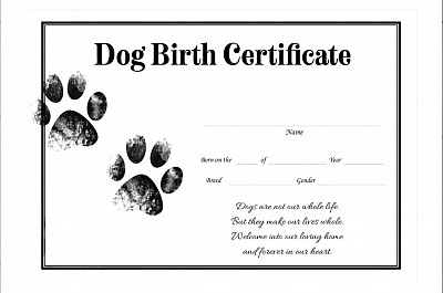 Puppy’s Birth Certificate